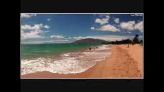 &quot;Summer Wind&quot; by David Lennard .. Great Cover!