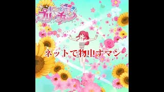 【キラッとプリ☆チャン】ネットで物申すマン【筐体実況】