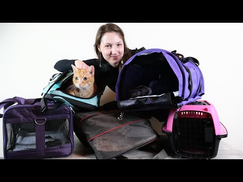 Top 5 Best Cat Carriers (We Tested Them All)
