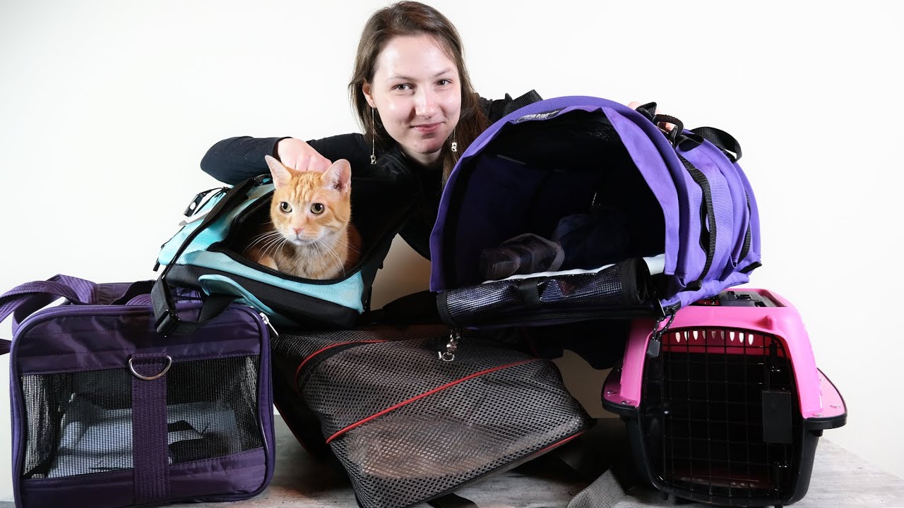 Which cat carrier is the best in the UK? Tipseri
