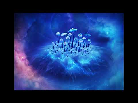 Yome Yome - Uelb 5.0