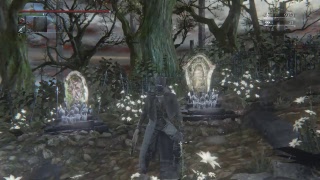 ブラッドボーン　高レベキャラ作ると罪悪感でる主がやる、固定聖杯、後半戦♪　パート３