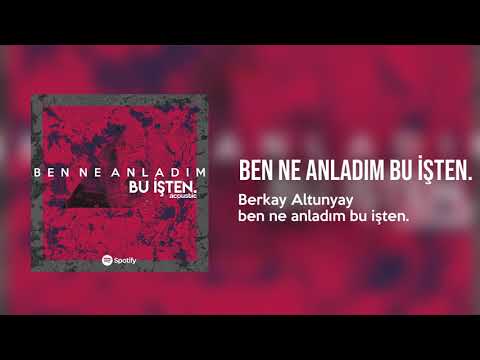 Ben ne anladım bu işten - Berkay Altunyay