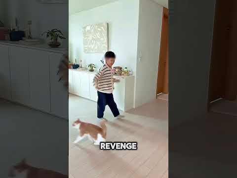 This little cat gave her owner an amazing surprise