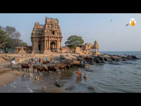Mahabalipuram, India🇮🇳 Ancient Temples and Rock Carvings Over 1300 Years Old (4K HDR)