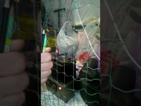 обвязка сети