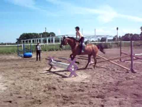 Magnice: szereg- Lady Love