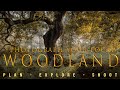 Explore your local Woodland