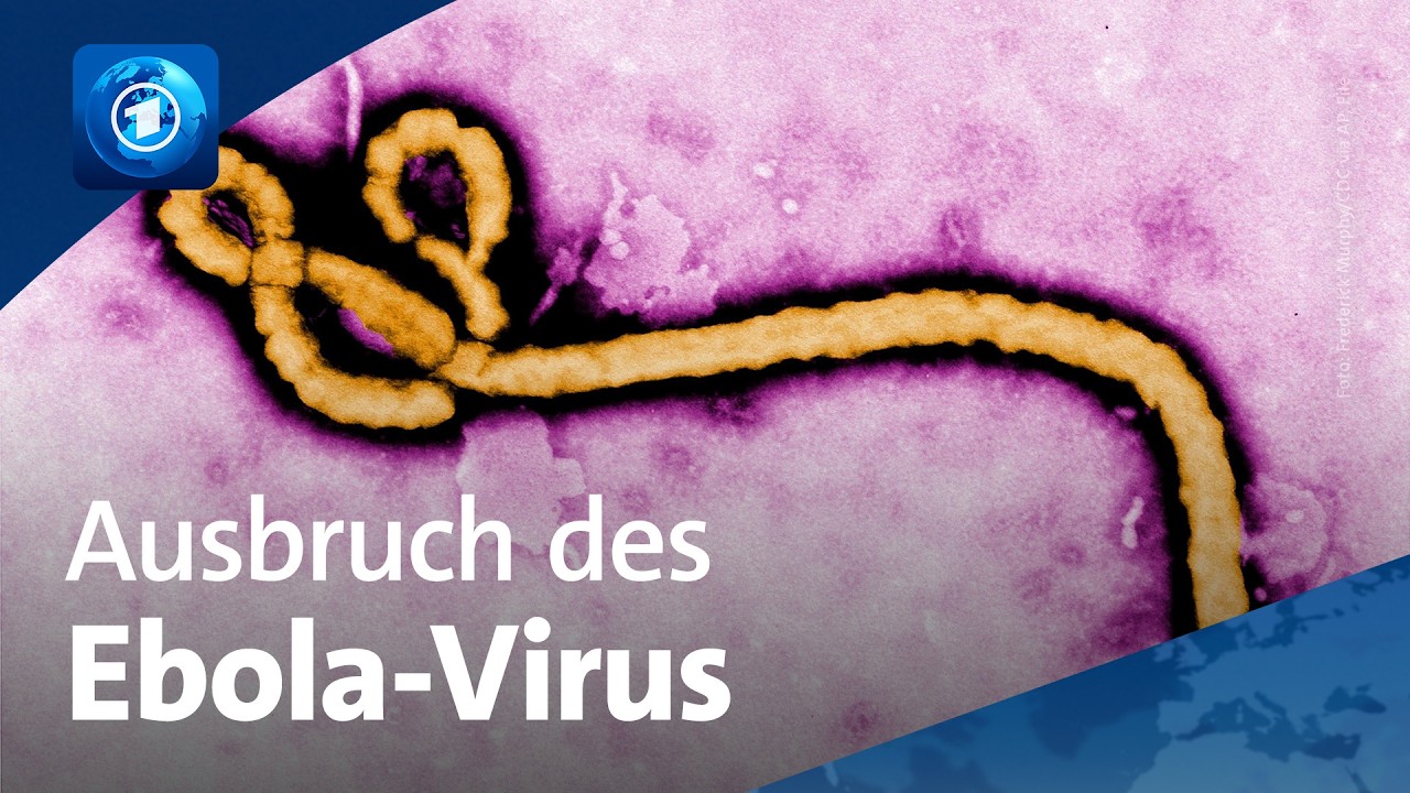 Ebola im Kongo: Zahl der Todesfälle steigt