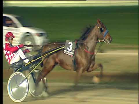 Trotto 09/01/2018 - 6ª corsa