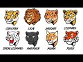 Every BIG WILD Cat Explained In 13 Minutes