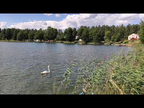 Kalejty sierpień 2020