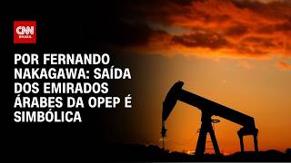 Vídeo: Análise: Saída dos Emirados Árabes da Opep é simbólica | CNN 360°