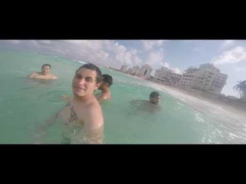 Chingadazo de Kung Fu - La fiesta terminó (Las zorras de Alex) (Video Oficial)