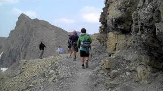 the road by matt costa