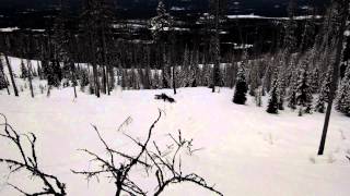 preview picture of video 'The Jamhole - Snowmobiling in Olney Montana part 2'