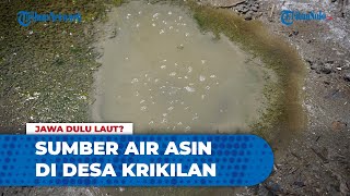 Menghilangnya Air Asin di Desa Krikilan, Sukinah: Dulu Banyak Warga Berebut