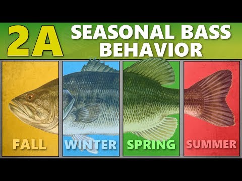 INTERMEDIATE GUIDE to BASS FISHING: 2A - Seasonal Bass Behavior