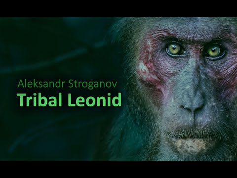Aleksandr Stroganov - Tribal Leonid (Official Music Video) [Tribal House, Afro House, Tech House]
