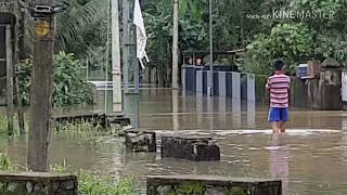 preview picture of video 'Kerala floods achankovil river prayikkara mavelikara #keralafloods'