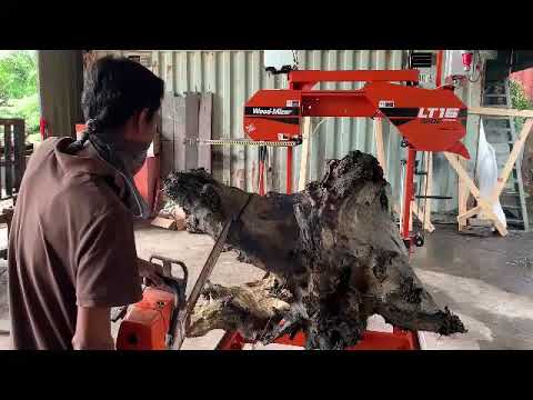 Brand new Wood-Mizer LT15 Wide cutting ironwood in Borneo