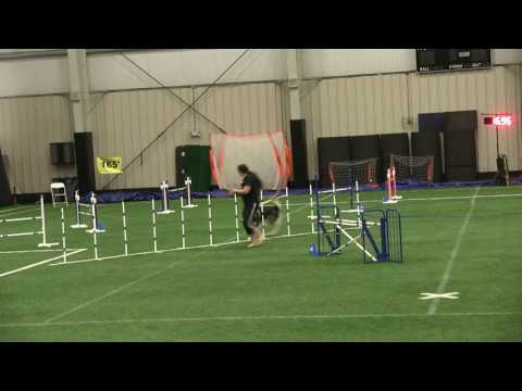 Enda Excellent JWW Debut