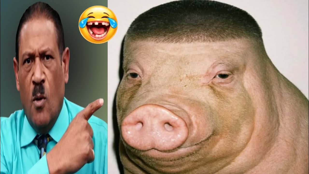 Crazy Funniest Videos Ever In The World! (ep 11) | Impossible Try Not To Laugh Challenge 2026