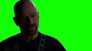 Walter White "what do you got in your life? nothing, oh wait yes, video games" green screen