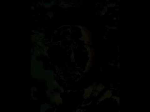 DIF vs. Terrororganisationen HIF