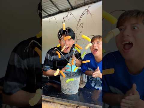 Thu hoạch Tokbokki #funny #shortvideo