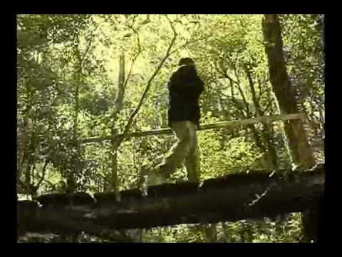 Vento Frio video