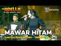 MAWAR HITAM CANTIKA NUSWANTORO ADELLA ADELLA LIVE JAPANAN PASURUAN