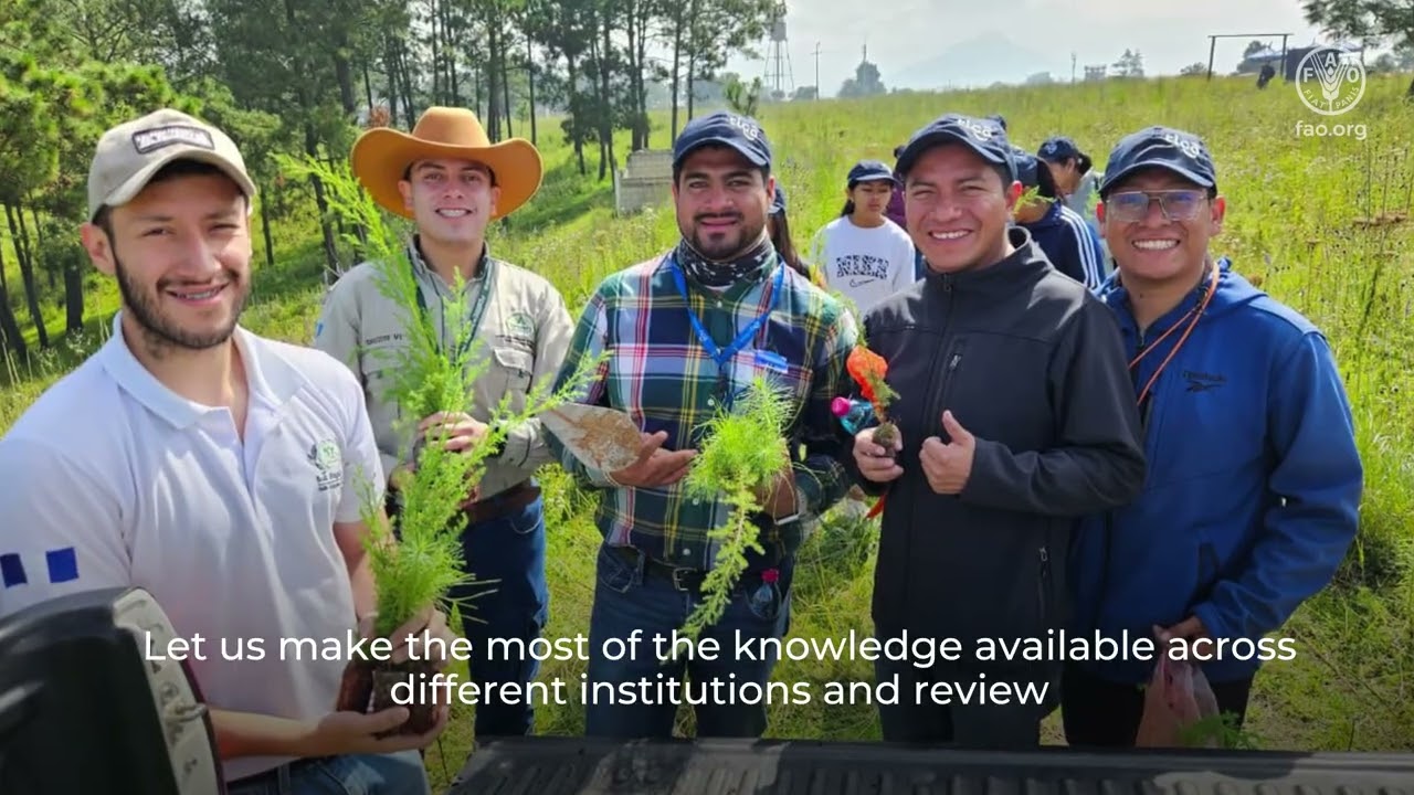 Integration of Indigenous Communities and Peoples in Forest Monitoring in Guatemala