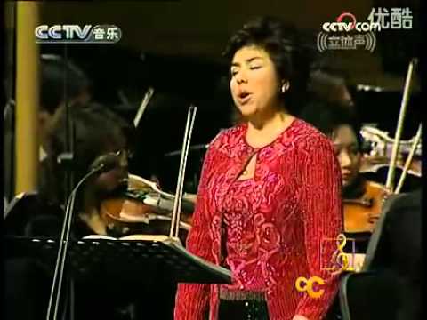 Dilbèr - Bravour Variationen