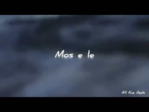 Cricket ft. Dafina Zeqiri-Një herë në jetë  (lyrics video)