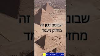 בנייה נכונה מחזיקה מעמד! #shorts