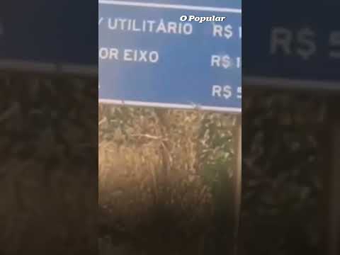 Cobrança de pedágio em estrada de terra entre Goiás e Mato Grosso revolta motoristas