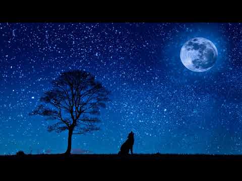 Sebastian Forslund - One Day