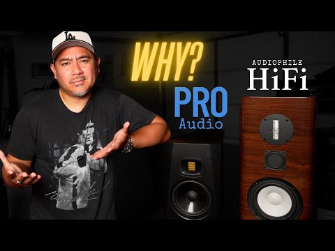 Audiophiles are Against This Idea! ///Adam Audio T7V