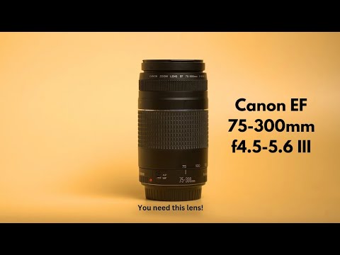Video thumbnail for Video Review 1
