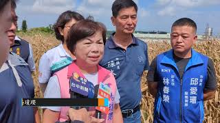 楊瓊瓔現勘台中后里農損  促農糧署簡化救助流程