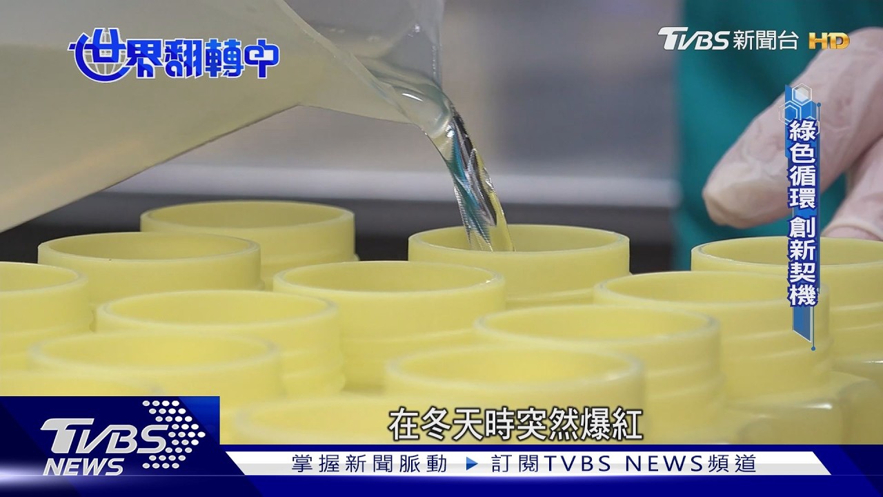 農廢不再是負擔!鳳梨皮、龍眼殼變保養品 綠色商機起飛