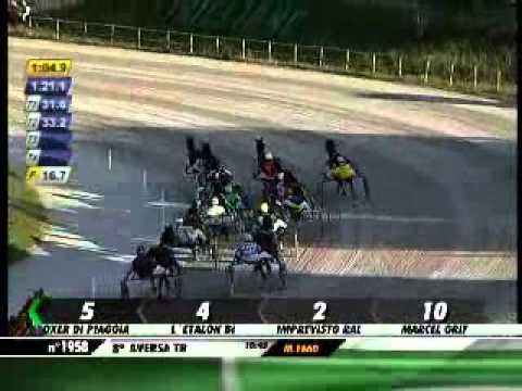 08/05/2013, Aversa , Premio F.petrarca C. Naz.