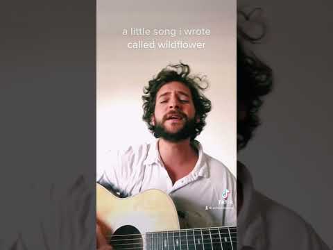 A little song I wrote...