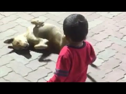 Your My Honey Bunch | Cute Baby👶 and a Dog | Sayeeda Quadri