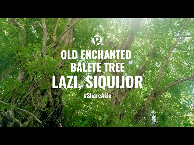 WATCH: Visit Siquijor’s Old Enchanted Balete Tree