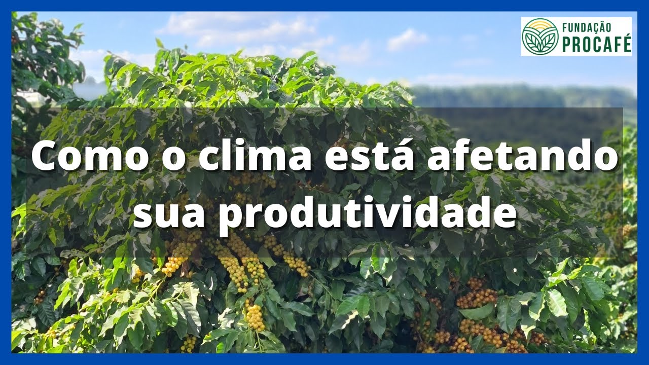 Podcast #62 - Como o clima está afetando sua produtividade