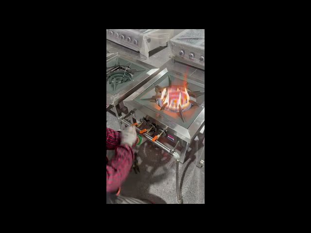 Two-Ring Stainless Steel Stockpot Stove Dual Burner Flame Test