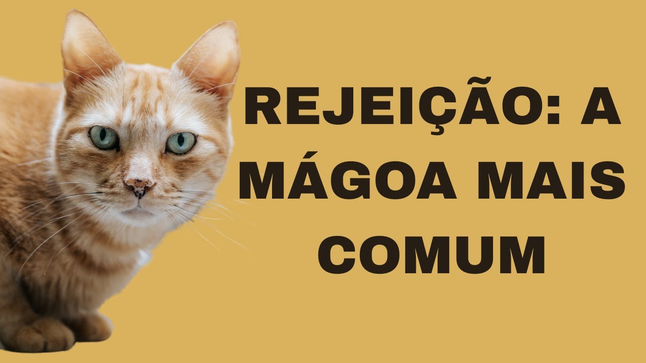 SENSIBILIDADE A REJEIÇÃO