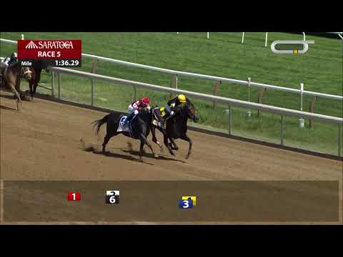 2020 Personal Ensign - VEXATIOUS